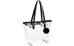 transparent purse handbag