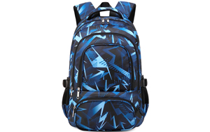 backpacks jansport big student