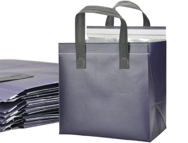 disposable insulated bags