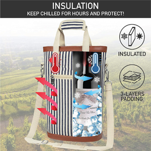portable wine cooler bag