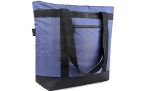 large insulated beach bag