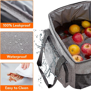 insulated travel bag for medicine