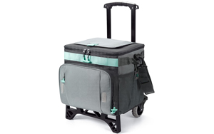 backpack cooler with wheels