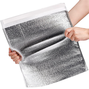 disposable cooler bags