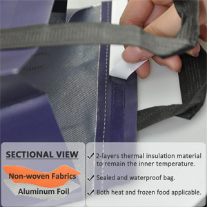 disposable cooler bags