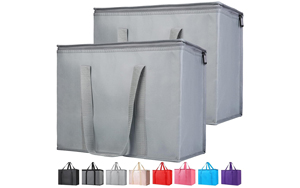 grocery bag cooler