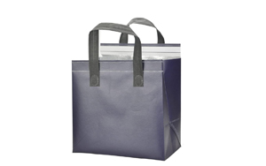 disposable cooler bags