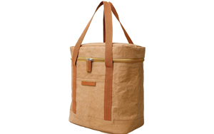 picnic lunch bag
