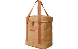 beach cooler tote
