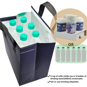 disposable thermal bags