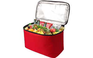 cooler bag lunch