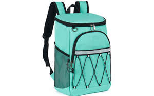 beach bag with cooler bottom