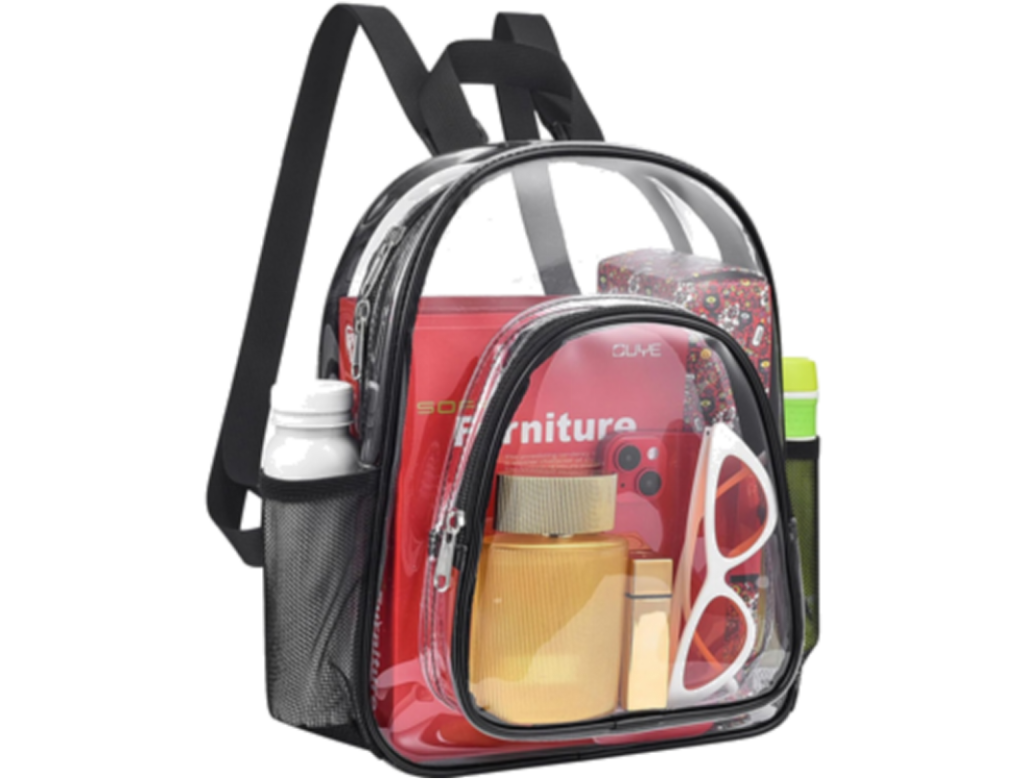 transparent Backpack