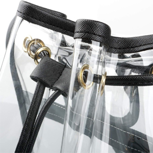 transparent Backpack