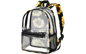 Clear Backpack