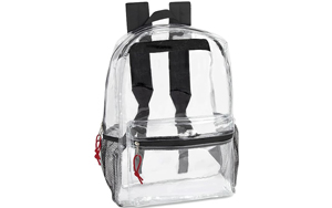 Clear Backpack