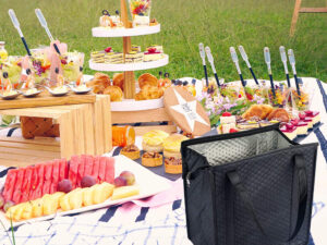 disposable cooler bags