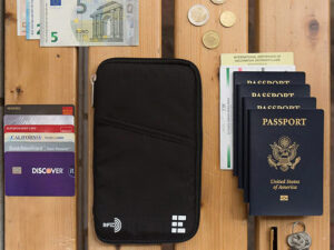 passport bag